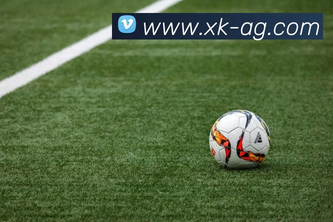 数据分析功能